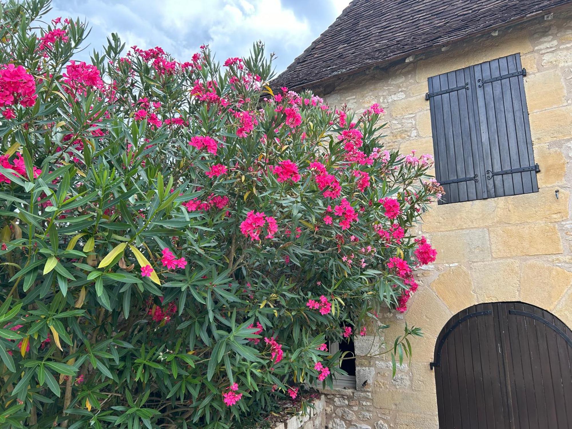 Demeure Du Vallon - Chambres D'Hotes De Charme Azerat Екстер'єр фото